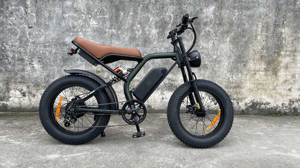 cb02 Rooder fat tire ebike for adults wholesale price (2)
