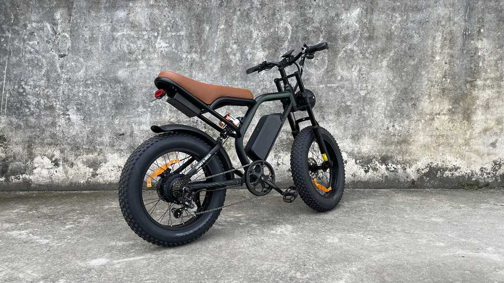 cb02 Rooder fat tire ebike for adults wholesale price (3)