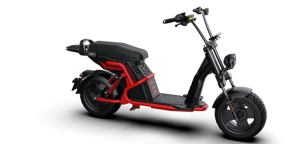 citycoco electric scooter 4000w Rooder Larsky (16)