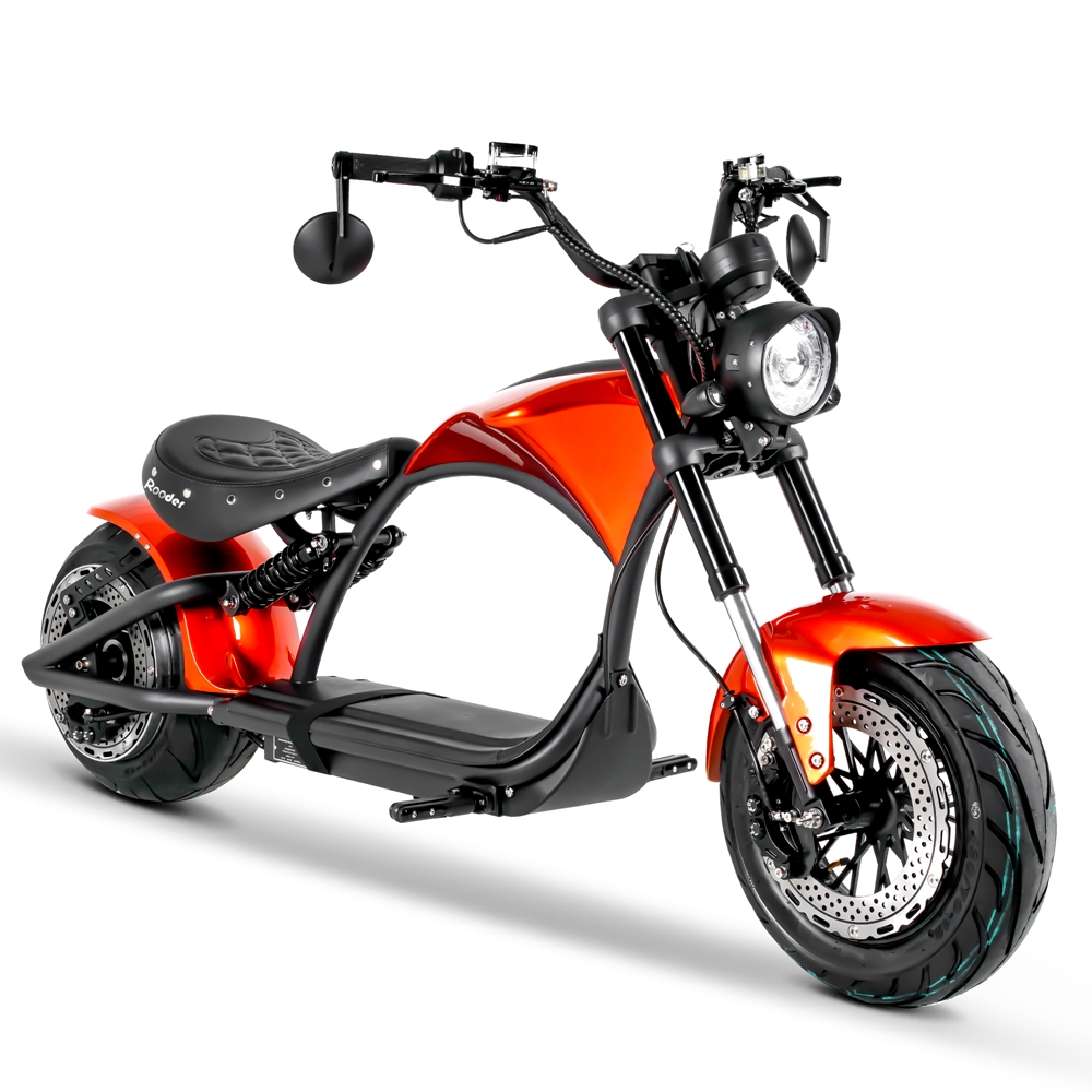 citycoco scooter (3)