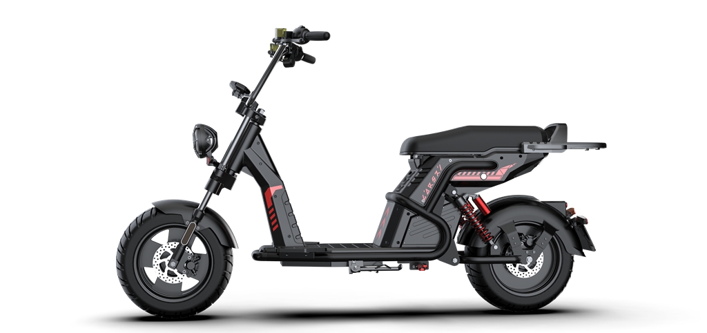 citycoco scooter echopper Rooder larsky 4000w (2)