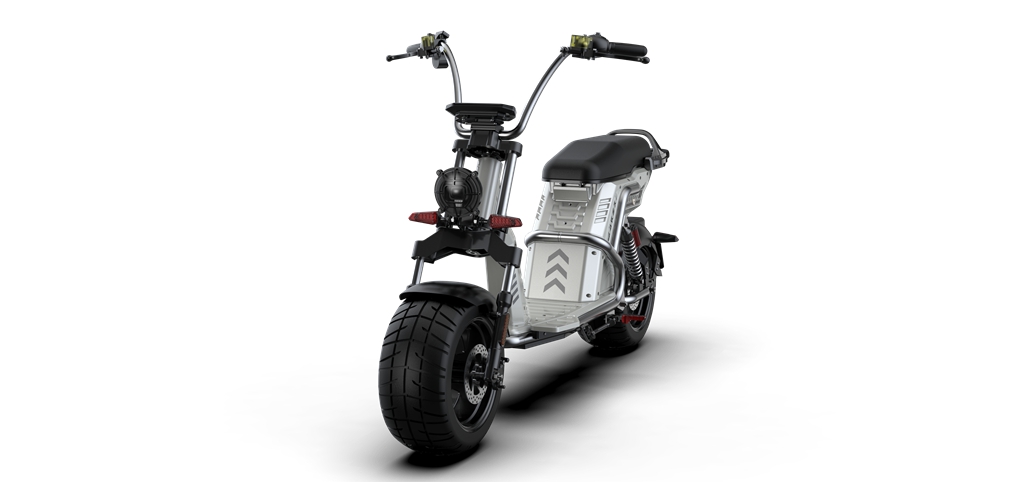 citycoco scooter echopper Rooder larsky 4000w (9)