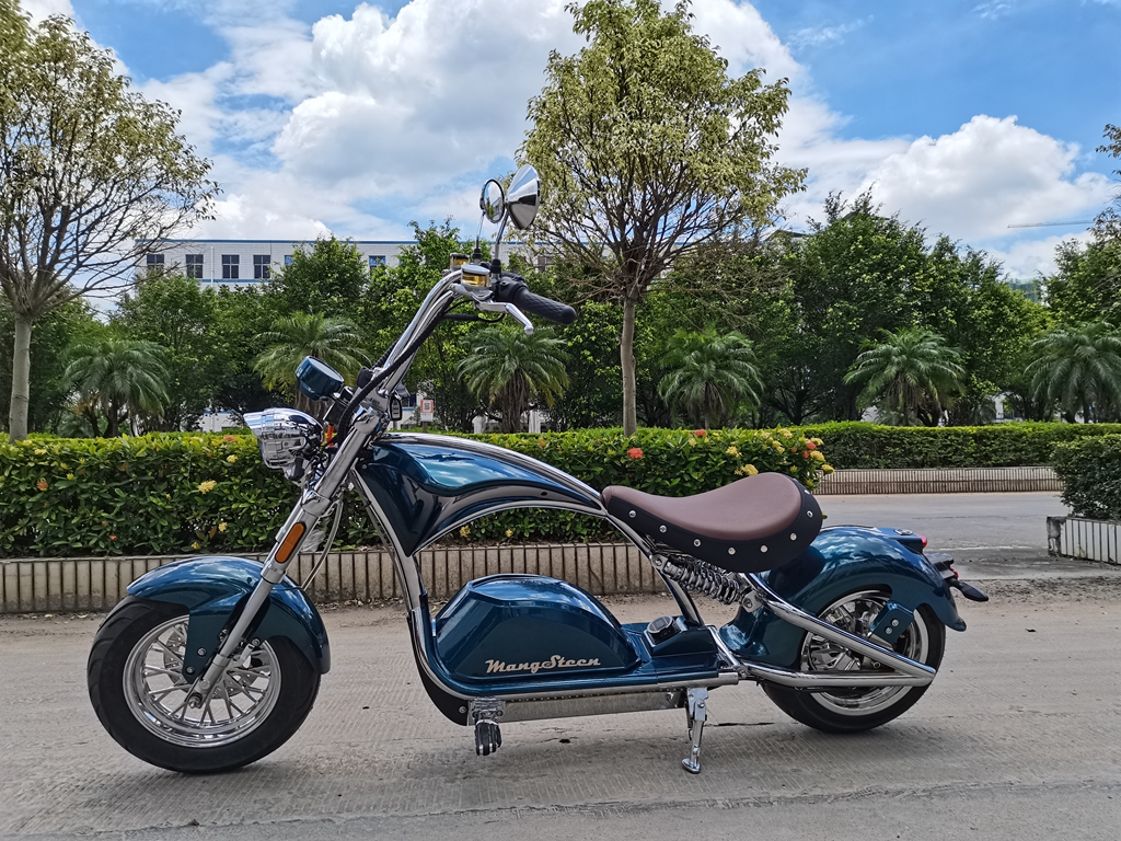 m1ps electric scooter Rooder magosteen chopper (1)
