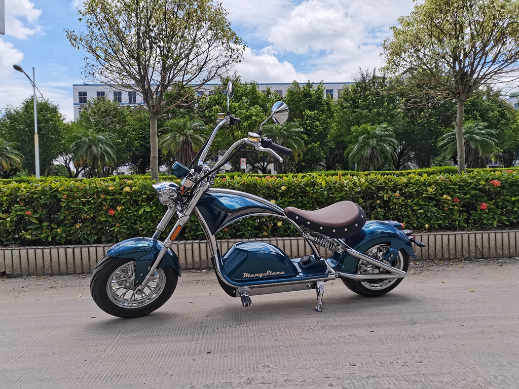 m1ps electric scooter Rooder magosteen chopper (7)