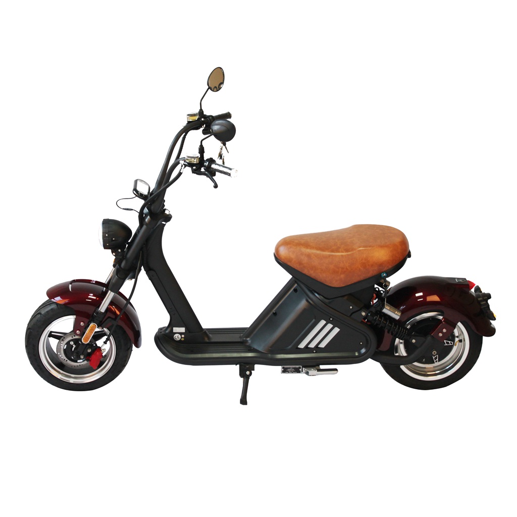 mangosteen citycoco chopper scooter m2 for sale (3)