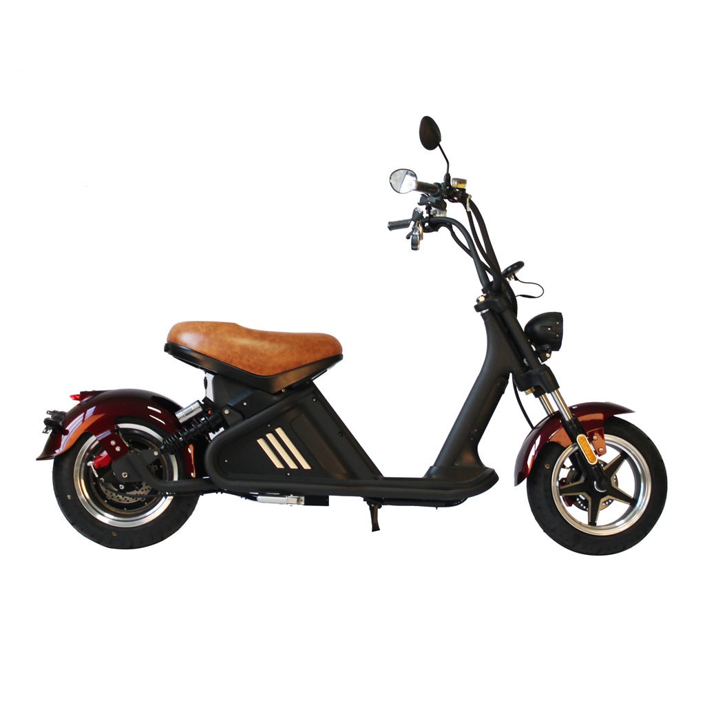mangosteen citycoco chopper scooter m2 for sale (6)