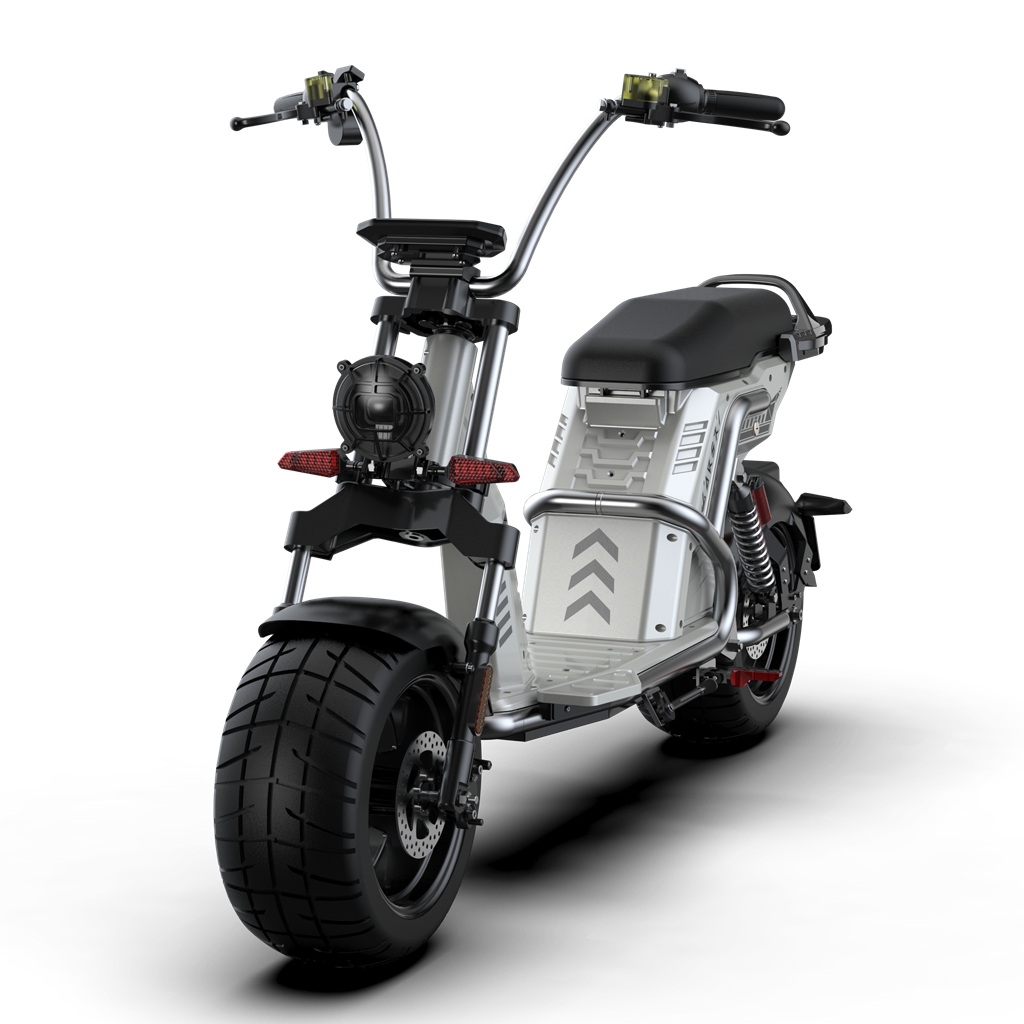 citycoco-scooter-echopper-Rooder-larsky-4000w-1