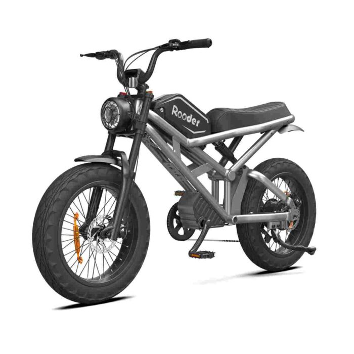 24 Electric Bike wholesale price