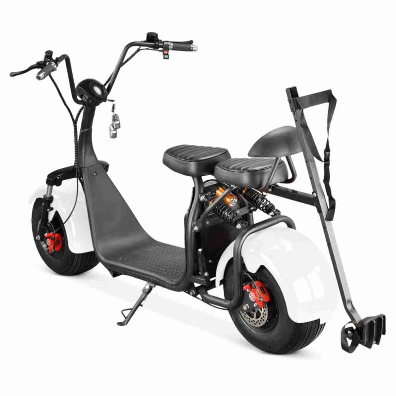 36v Mini Electric Bike wholesale price