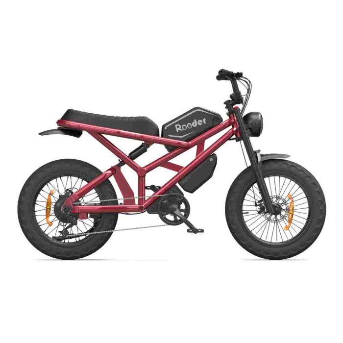 750w Ebike wholesale price