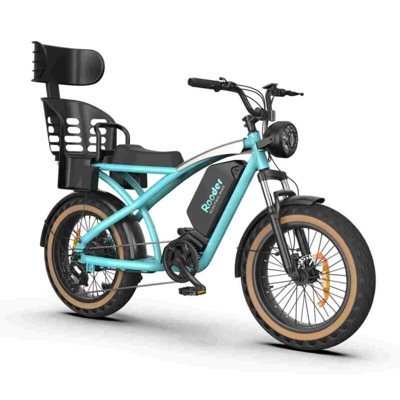 Compact Folding Electric Bike wholesale price