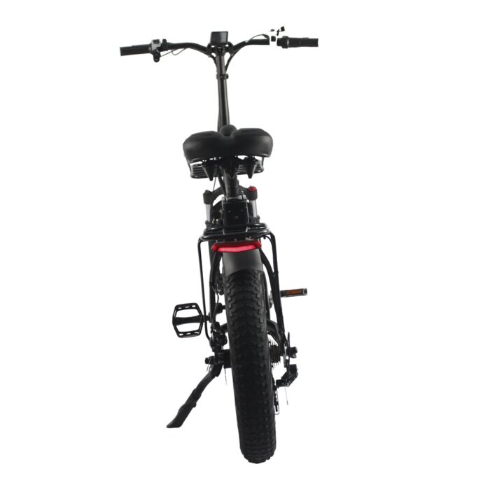 Electric Bicycle r809-s1 750w MotorFor Sale