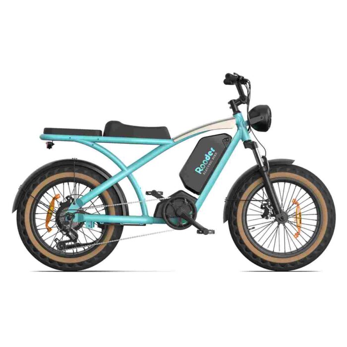 Electric Bike Adult wholesale price