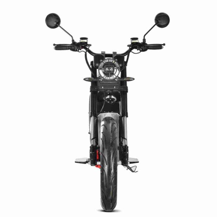 Electric Bike With Thick Tires wholesale price