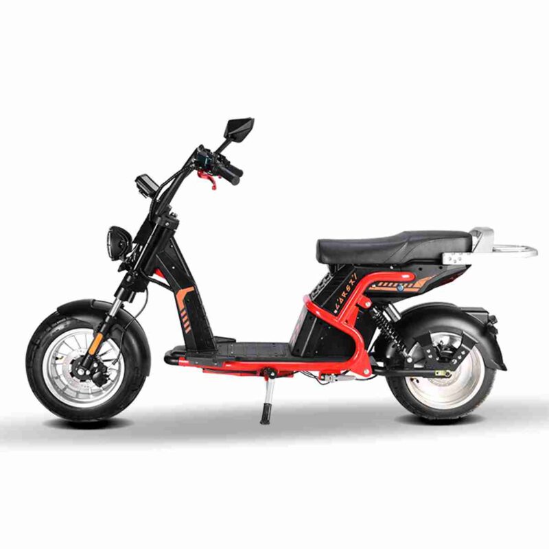 Electric Fat Tire Ebike wholesale price