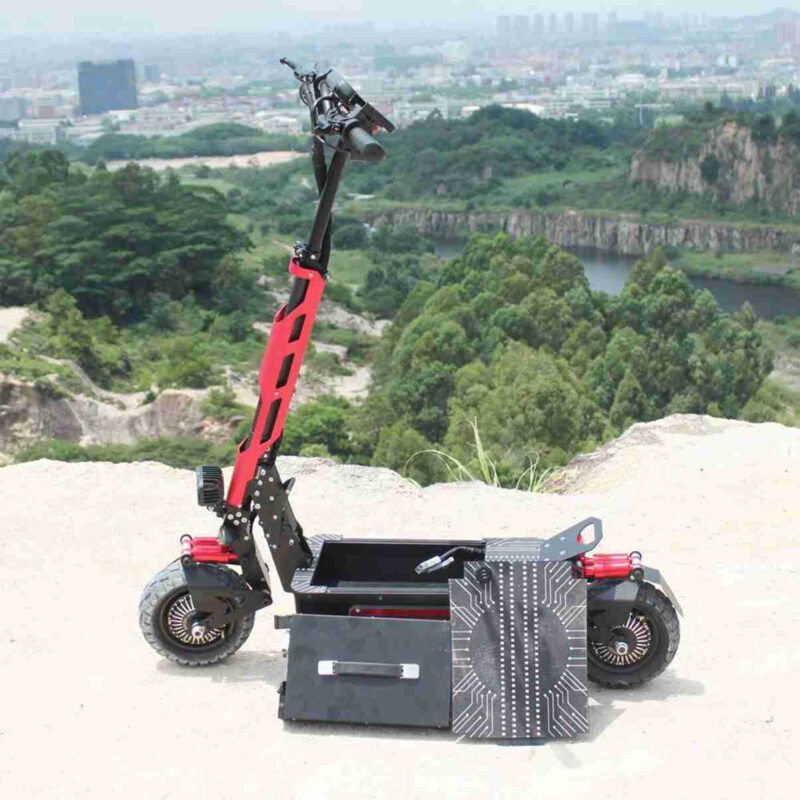 Hot Fat Electric Bike wholesale price