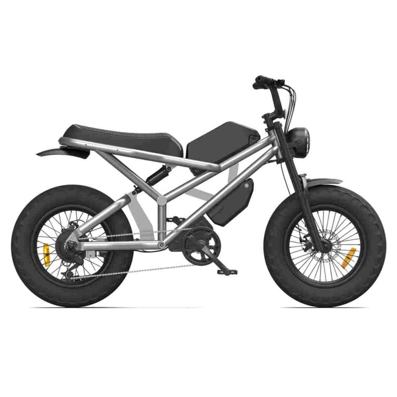 Lightest Folding Electric Bike wholesale price