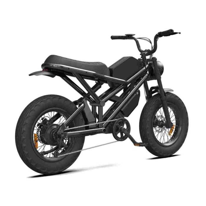 Men’s Fat Tire Electric Bike wholesale price