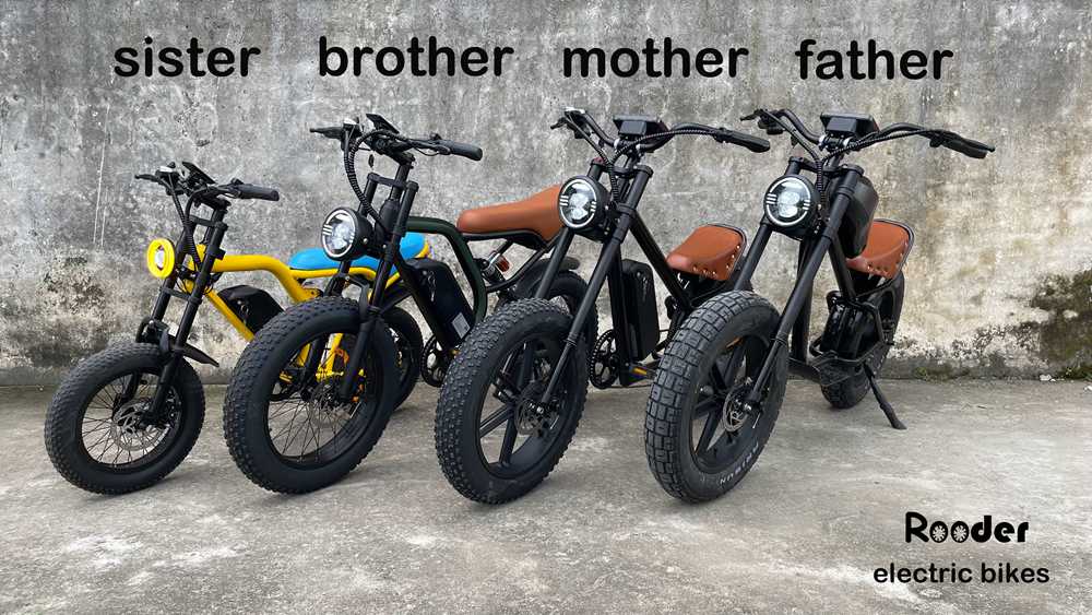 Rooder high quality cheap price electric bicycles for sale