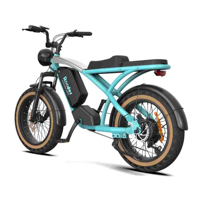 Top Fat Tire Electric Bikes wholesale price