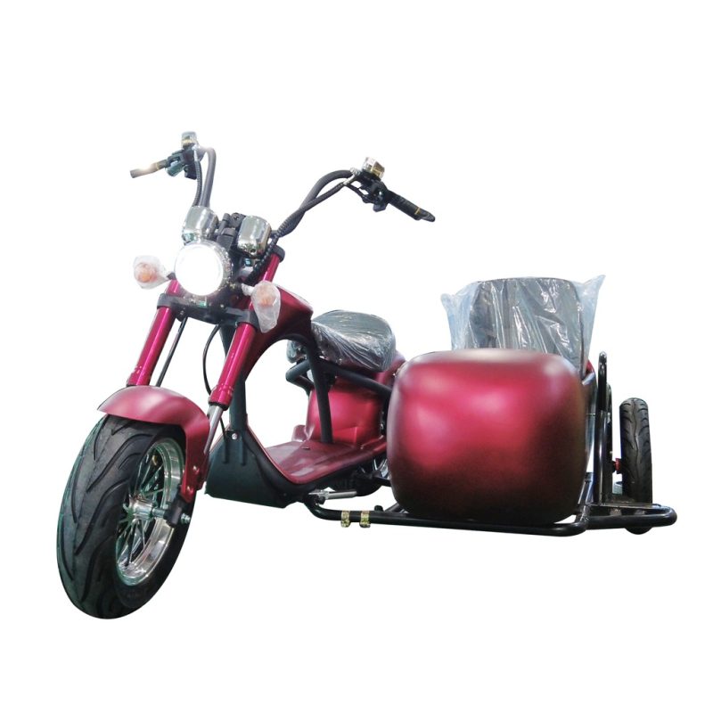 citycoco chopper Rooder custom 3000w 28a with side car eec coc