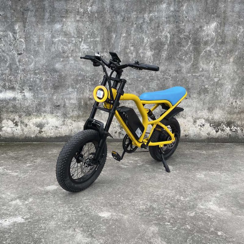 mini-ebike-Rooder-cb02-350w-10a-for-teenagers-wholesale-price-1