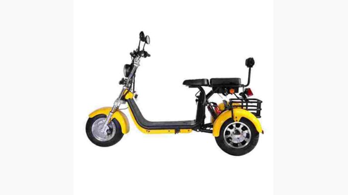 rooder citycoco electric scooter
