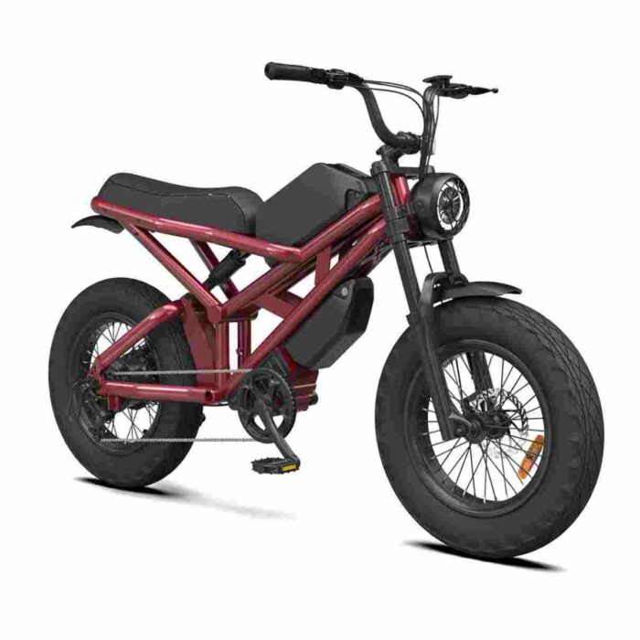 1500w electric bike factory OEM China Wholesale