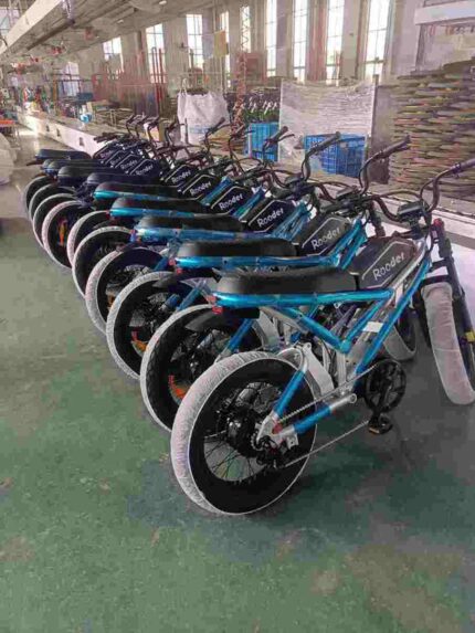 20 In Ebike factory OEM China Wholesale