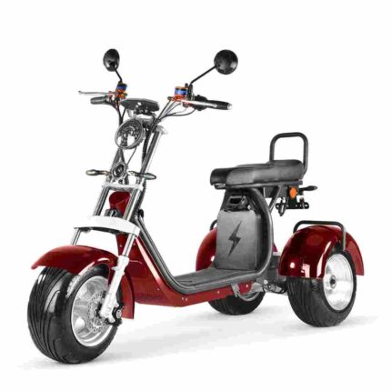 2000w citycoco electric scooter factory OEM China Wholesale
