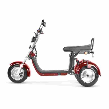 2024 Citycoco Scooter factory OEM China Wholesale