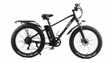 48v Fat Tire Electric Bike factory OEM China Wholesale
