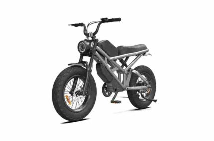 750w ebike factory OEM China Wholesale