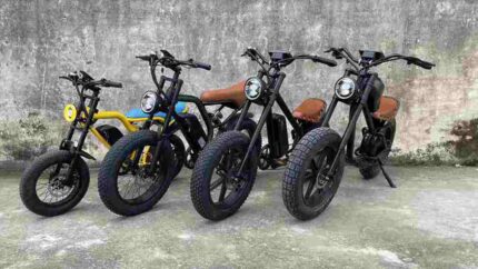 best foldable electric bike factory OEM China Wholesale