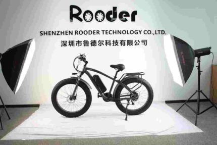 Bike Foldable Electric factory OEM China Wholesale
