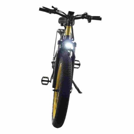 Bike Folding Electric factory OEM China Wholesale