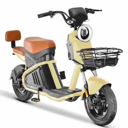 Citycoco 3 Wheel factory OEM China Wholesale