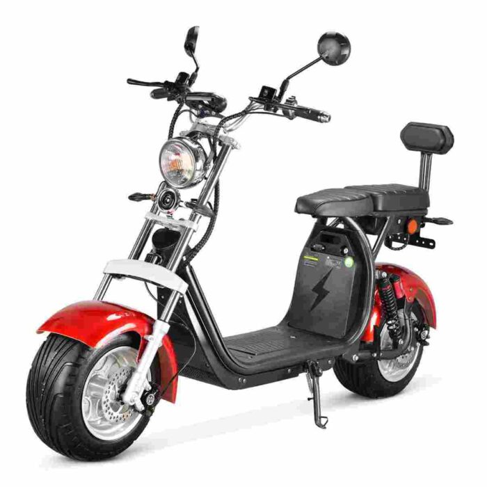 Citycoco Bike 2000 factory OEM China Wholesale