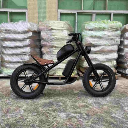 Ebike Fat Tyre factory OEM China Wholesale