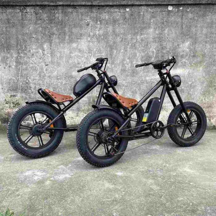 Ebikes Folding factory OEM China Wholesale