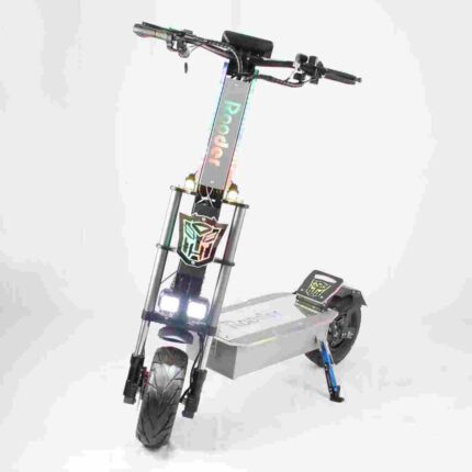 eco electric scooter factory OEM China Wholesale