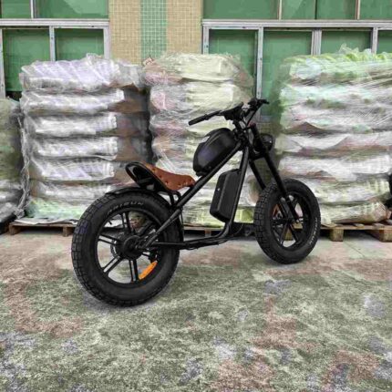Electric Bike Folding Best factory OEM China Wholesale