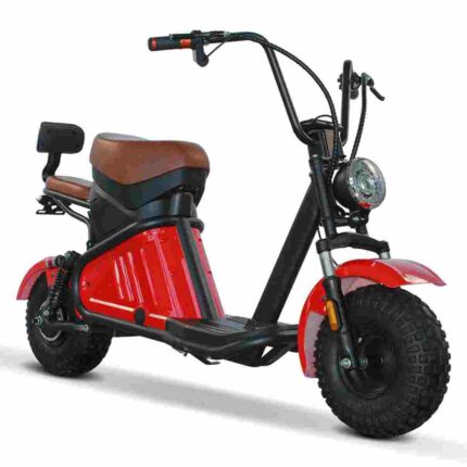 Electric Citycoco Scooter factory OEM China Wholesale