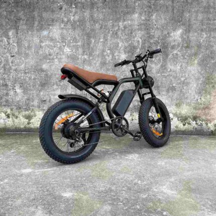 fastest electric bicycle factory OEM China Wholesale