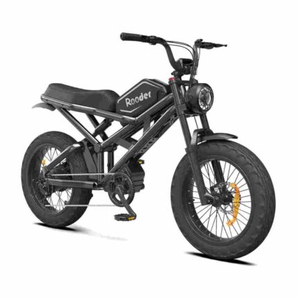 Fastest Fat Tire Electric Bike factory OEM China Wholesale