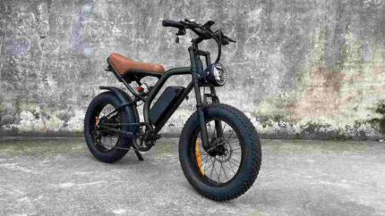 Fat Tyre Electric Cycle With Gear factory OEM China Wholesale