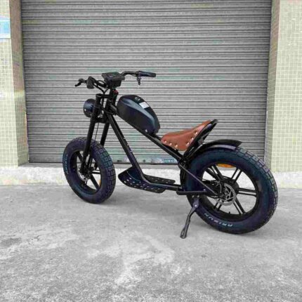 Full Size Folding E Bike factory OEM China Wholesale