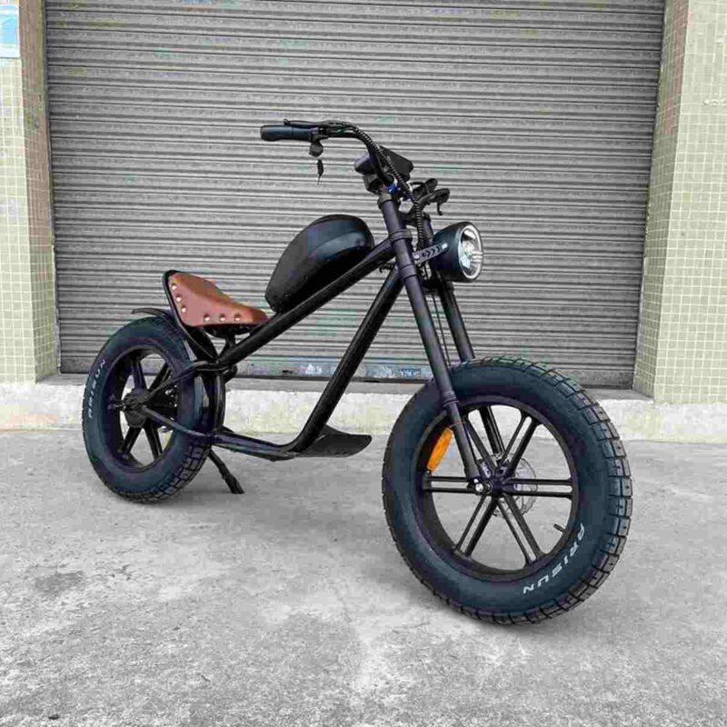 Green Folding Electric Bike factory OEM China Wholesale