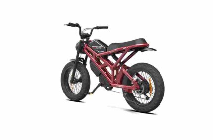 Most Powerful Folding Electric Bike factory OEM China Wholesale