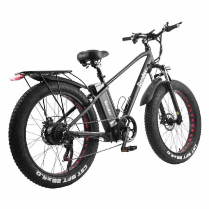 Mountain Snow Electric Bicycle factory OEM China Wholesale